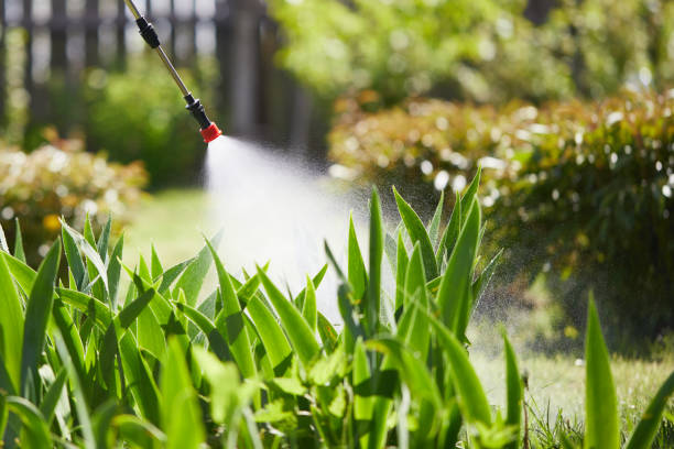 24/7 Emergency Termite Control experts in Blossom, TX