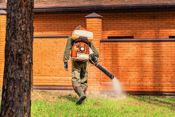 Top rated local Termite Control specialists in Blossom, TX